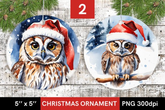 Download Owl with Santa Hat - Round Christmas PNG - Santa hat Collection